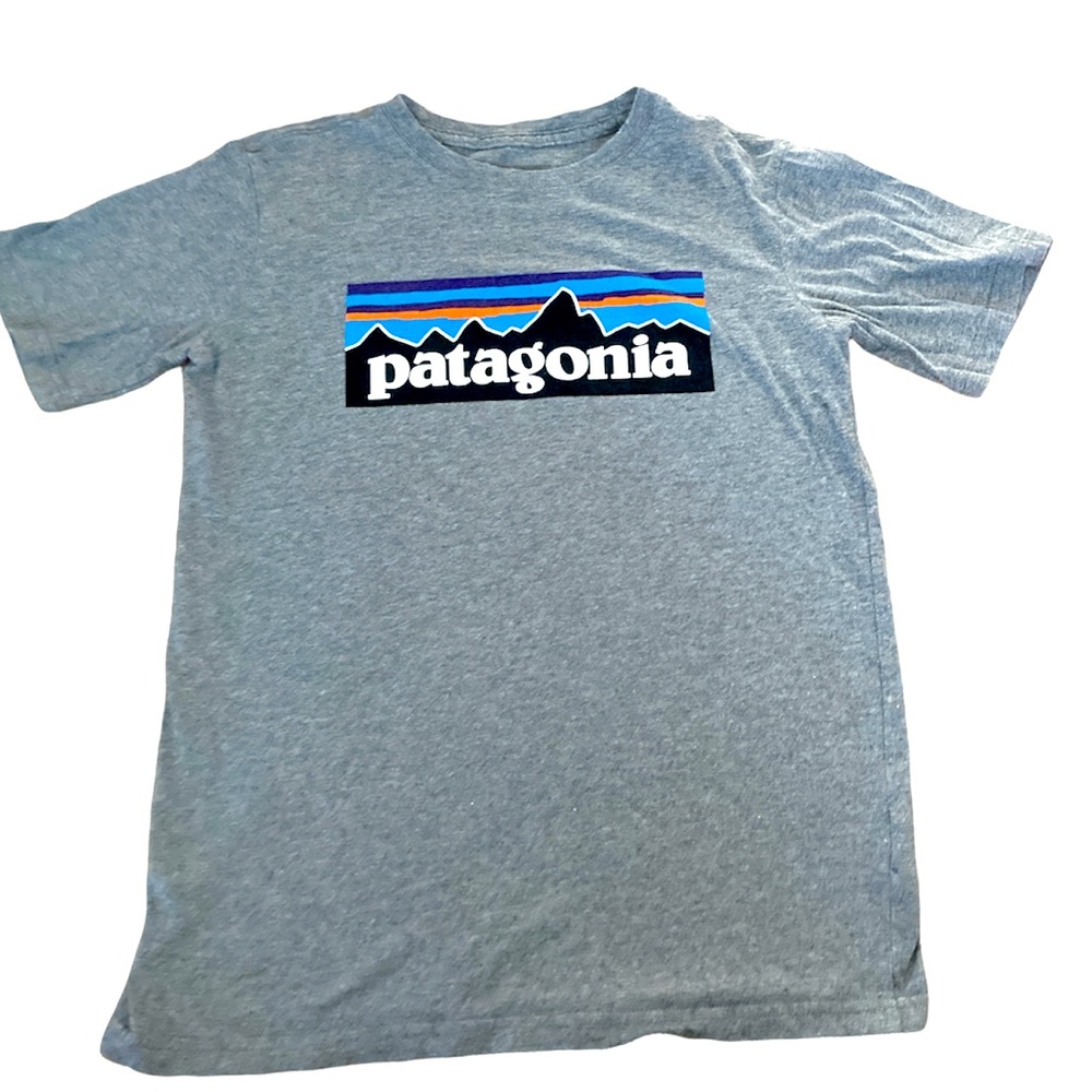 Patagonia t-shirt